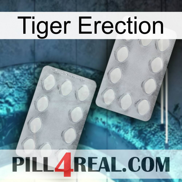 Tiger Erection 17.jpg